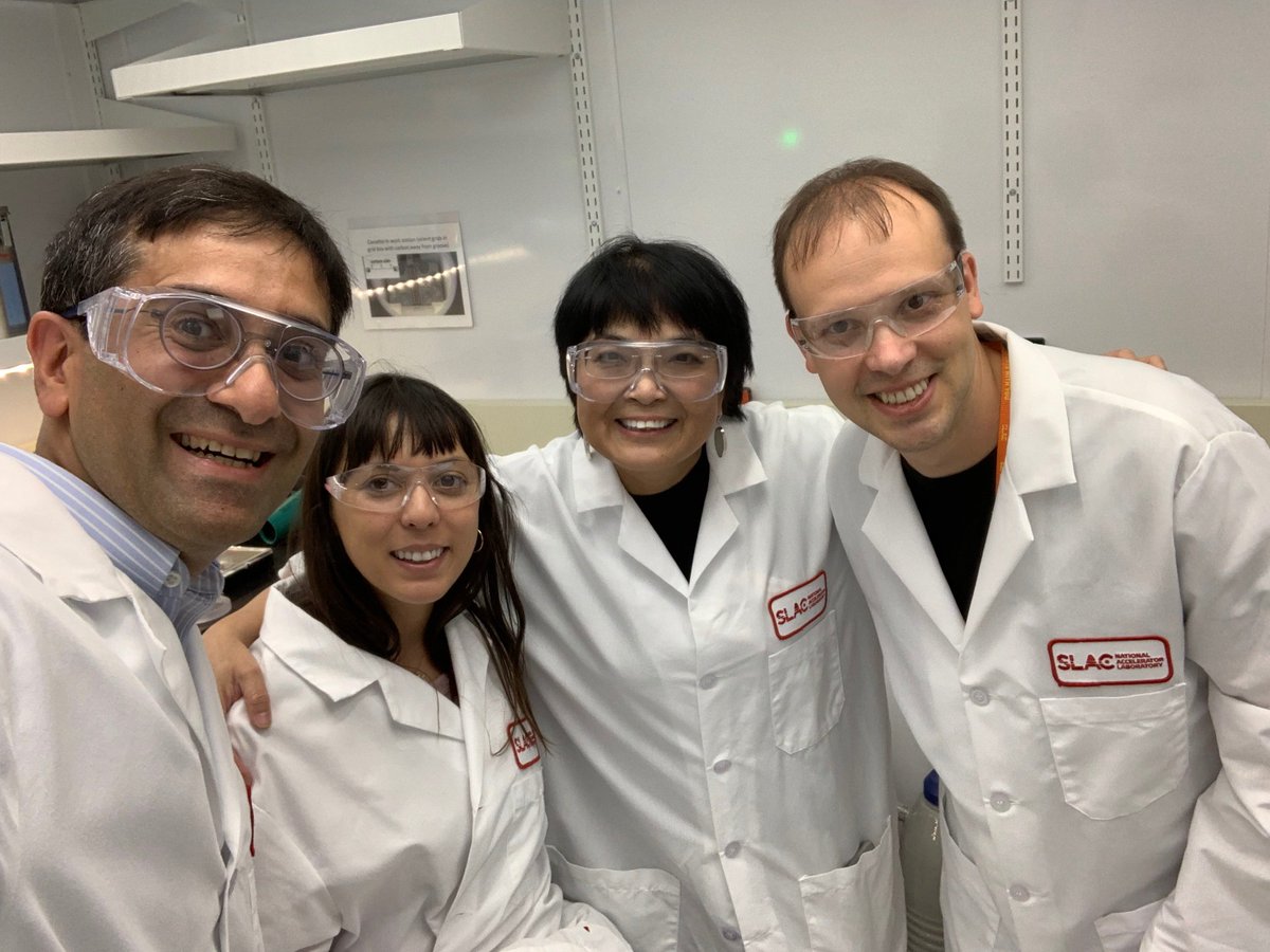 LokeshGakhar's tweet photo. Very helpful hands-on #CryoEM training workshop (Sep 11-13) at the @NIH_CommonFund Stanford-SLAC Cryo-EM (National) Center. Thank you Wah, Mike, Corey, Megan, Nancy, Patrick, Zoltan, JoAnn. @SLAClab #S2C2 @PCF_uiowa https://t.co/9O82Mmcp4i