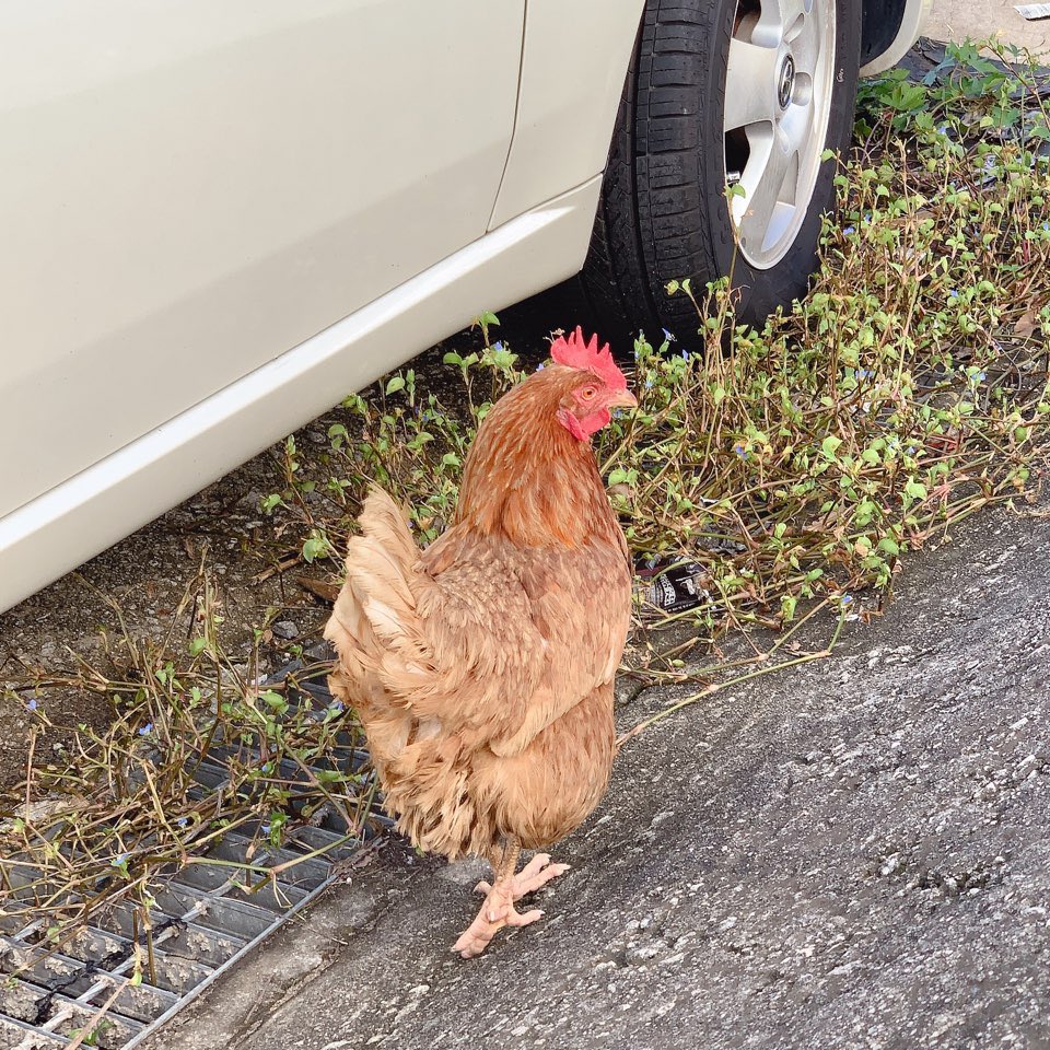 [#이승환]
안녕해요 원더랜드~~
오늘은 숙이랑 함께한 추석입니다!!
원더랜드도 추석 잘 보내시고 계신지요~?? 오늘같은 날은 마음까지 푹 쉬었으면 좋겠으니 다들 푹 쉬는거 숙제!!
그럼 한가위 복 많이 받으세요~~😝

#원더나인 #1THE9 #LEESEUNGWHAN