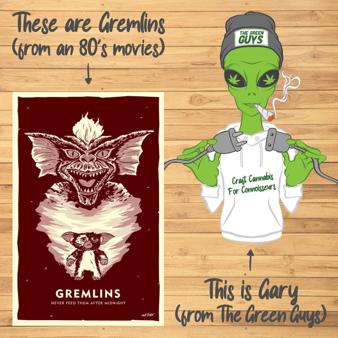 GarytheGreenGuy's tweet image. Fought Gremlins today. Victory was schweet.  Made a website twice as fast as before and they made a poster in my honour. #employeeofthemonth #gremlinssuck #techwhizz #SEO #victorycry