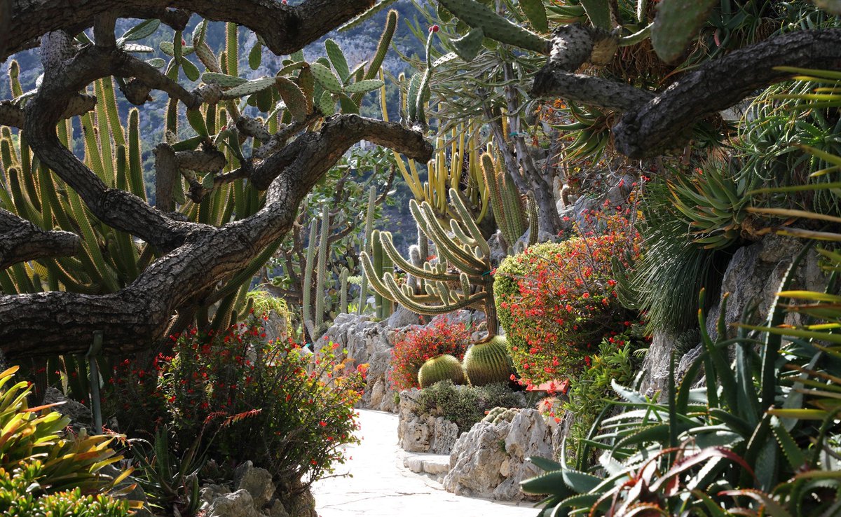 MandelieuOTC's tweet photo. Partez à la découverte des jardins de la #CotedAzur grâce au Pass #Culture ! Établissez votre programme parmi un panel de 65 activités !
Pack 3 activités : 25€ - Pack 5 activités : 40€
En vente à l'OT de Mandelieu et sur https://t.co/arwHj6dPvS
#CotedAzurFrance #CotedAzurCard https://t.co/U8awBOclz4
