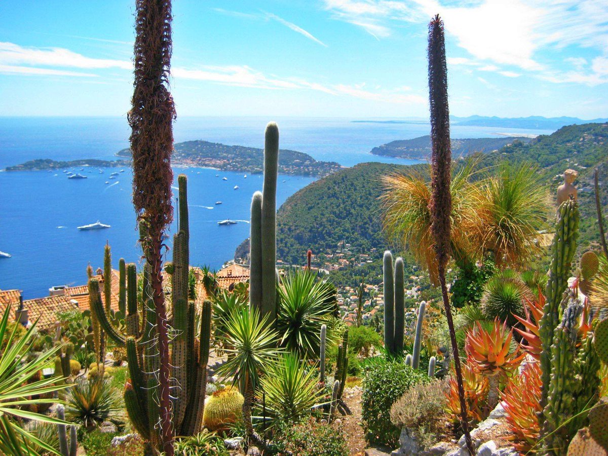 MandelieuOTC's tweet photo. Partez à la découverte des jardins de la #CotedAzur grâce au Pass #Culture ! Établissez votre programme parmi un panel de 65 activités !
Pack 3 activités : 25€ - Pack 5 activités : 40€
En vente à l'OT de Mandelieu et sur https://t.co/arwHj6dPvS
#CotedAzurFrance #CotedAzurCard https://t.co/U8awBOclz4