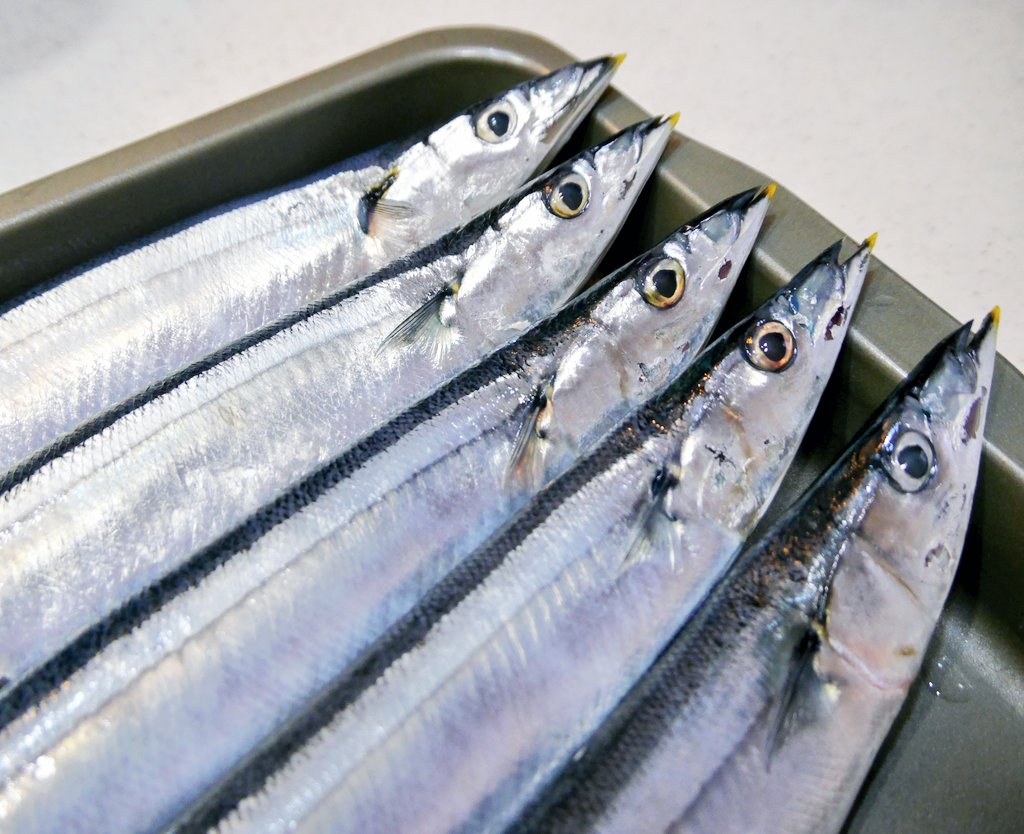 やまぐち 編集ライター 青魚あああああ ﾊｲﾀｯﾁ 脂ののった新秋刀魚のお刺身は全 の中で最も好物です この辺りはイナダ ハマチ この辺りだとそう呼ぶ ツバスとブリの幼魚が1本500円とかで叩き売りなので そればっかり食べてます Q