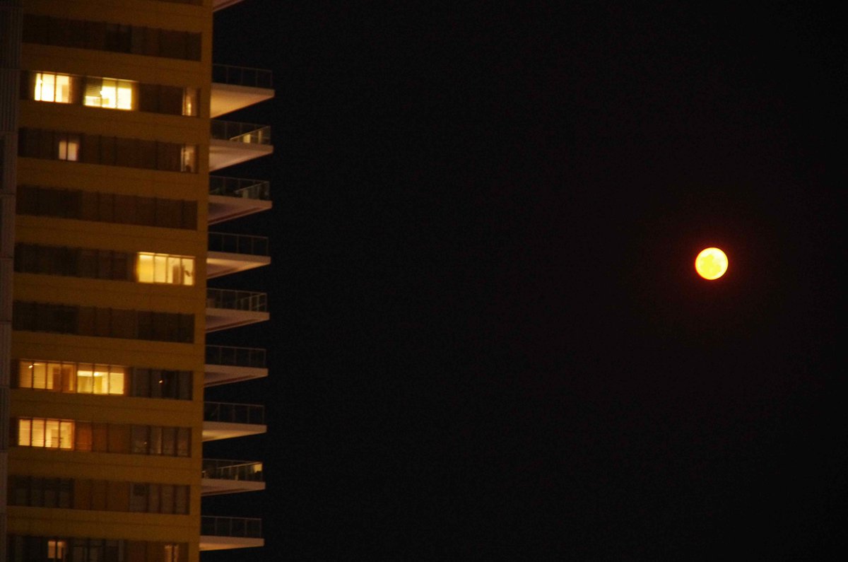 A blood red moon for an infrared conference <a href="/Nir2019Aus/">NIR2019</a>