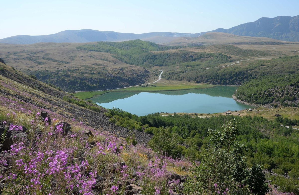 TRT AVAZ tweet media