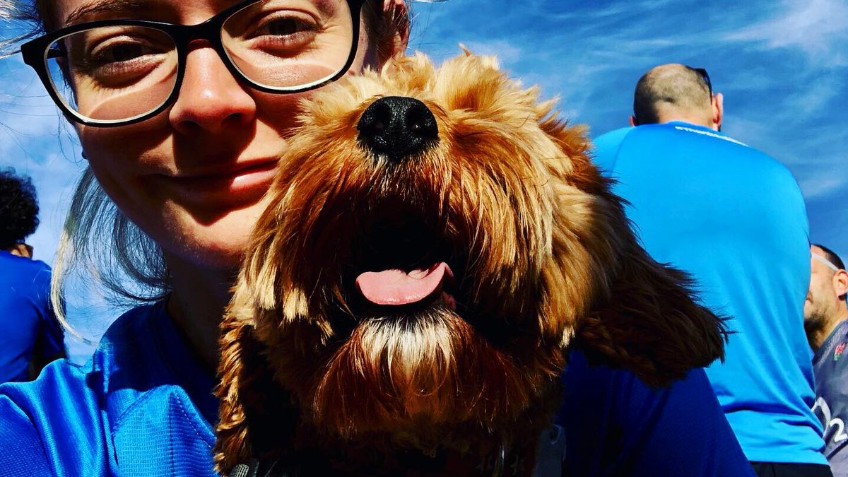 roxann_holder's tweet photo. Reasons to do @parkrunUK ... 🐕🐶🥰 #doggycuddles #imadeafriend #weekendrun #parkrun https://t.co/2gmFZluVOE