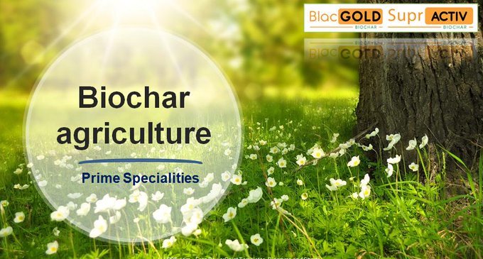 AgribioC's tweet photo. Contact #PrimeSpecialities for purchasing the #biochar agriculture products: 96184 00511 or you can visit our website for more info: https://t.co/tgGgfb9axu
#Buy_Biochar
#Biochar_Cost
#Activated_Biochar
#Biochar_Production_In_India https://t.co/Ajmqpfxftt