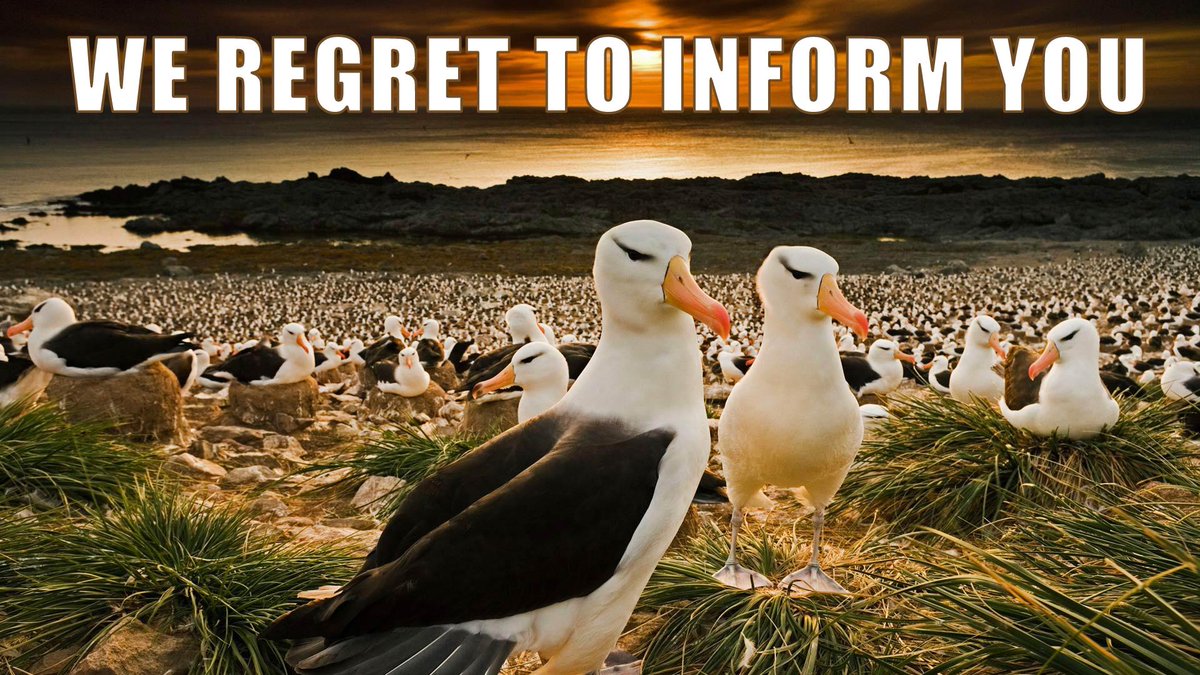 Unfortunately, we have to inform you that European Analyst Days in Krakow in November 2019 are cancelled.
Still, you are invited to Analyst Days-11, which will take place on April 17-18, 2020, in Moscow. 
More info here: bit.ly/2kfm25Z.
Stay tuned!