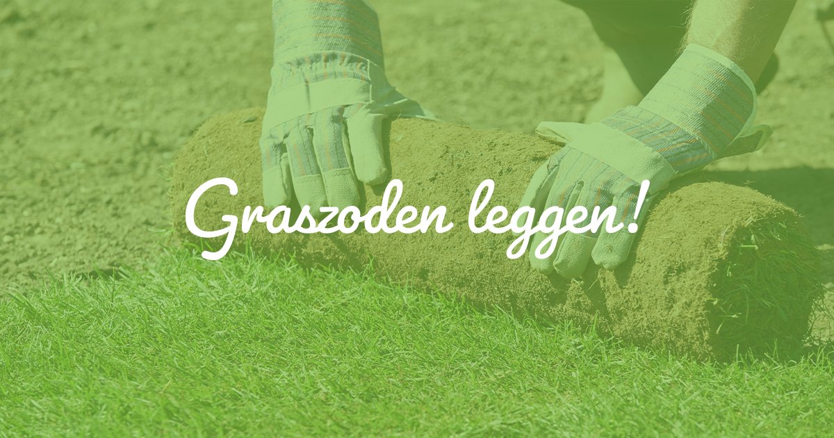 tuinkeur tweet picture