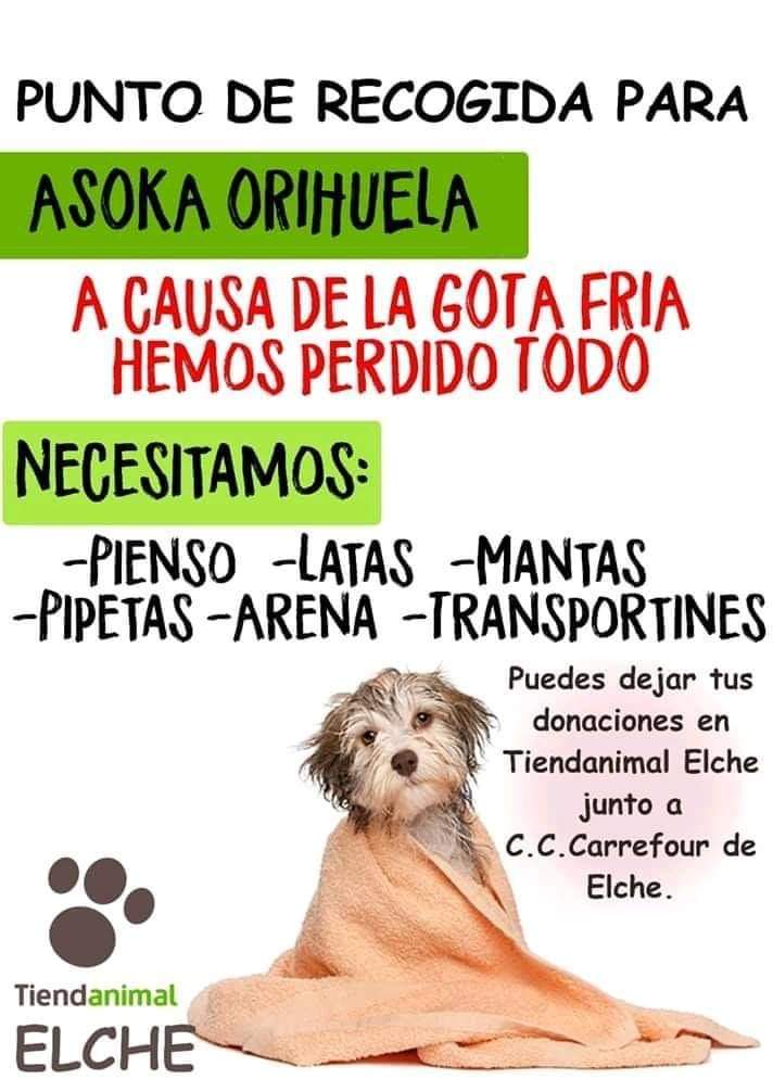 Taysario's tweet photo. ES EL MOMENTO DE SER SOLIDARIOS LO HAN PERDIDO TODO https://t.co/EgYUAJTDcr