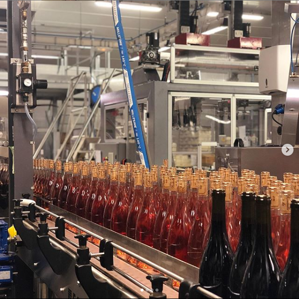 Domaine Eric Louis tweet media