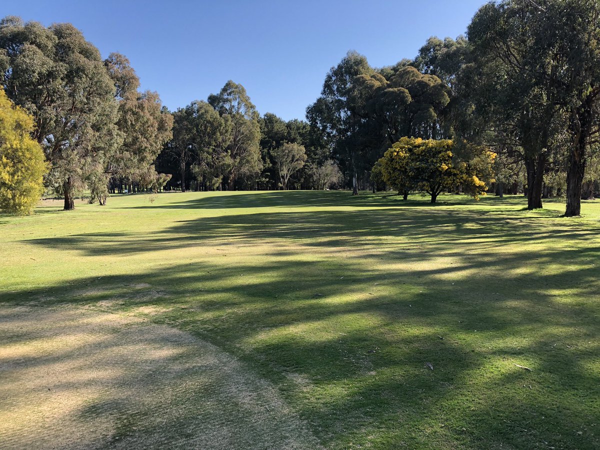 RPAgronomy's tweet image. If it won’t rain might as well spend these sublime spring days 🏌️‍♂️
Absolute hidden gem in country Vic; @StrathbogieGolf 👍
#driveforshow #puttfordough
#howgoodisgolf 
@JamiesonBrad @Gillam90 @jlaycock55