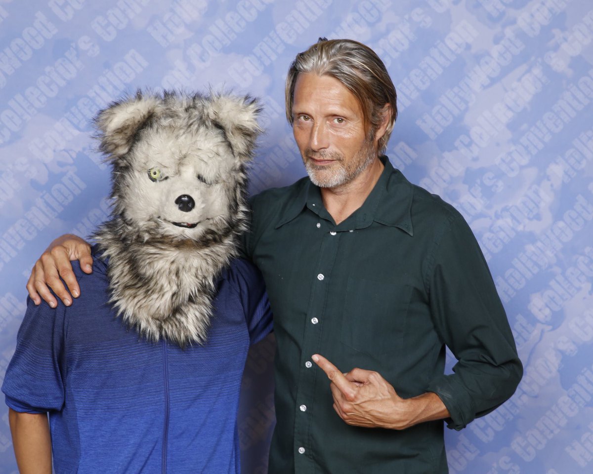 演奏系オオカミ tweet media