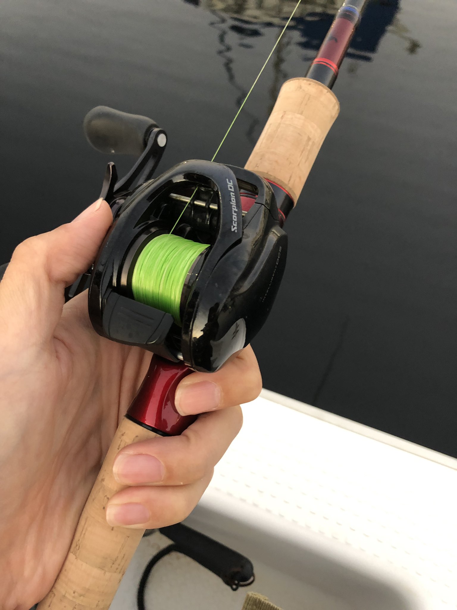 توییتر Pmn アフロ در توییتر スコーピオンのロッドデビュー戦 シーバス ボートシーバス 東京湾 ナイトゲーム T Co Dj65g8xfcg