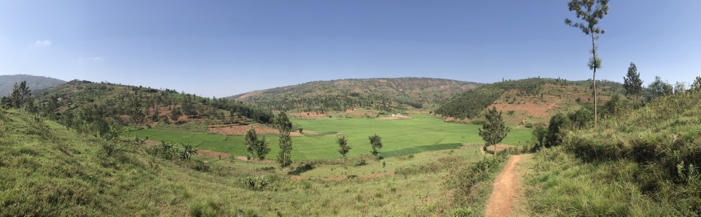 USAmbRwanda's tweet image. Igihugu cy'imisozi igihumbi 🚲 ... na umuceri. #RwandaNziza