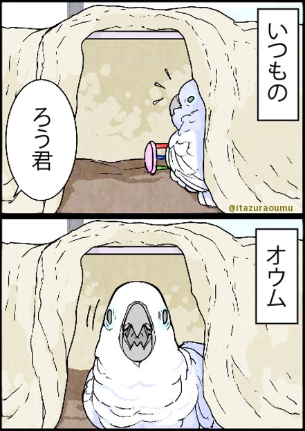 いたずらオウムの生活雑記 を含むマンガ一覧 古い順 ツイコミ 仮