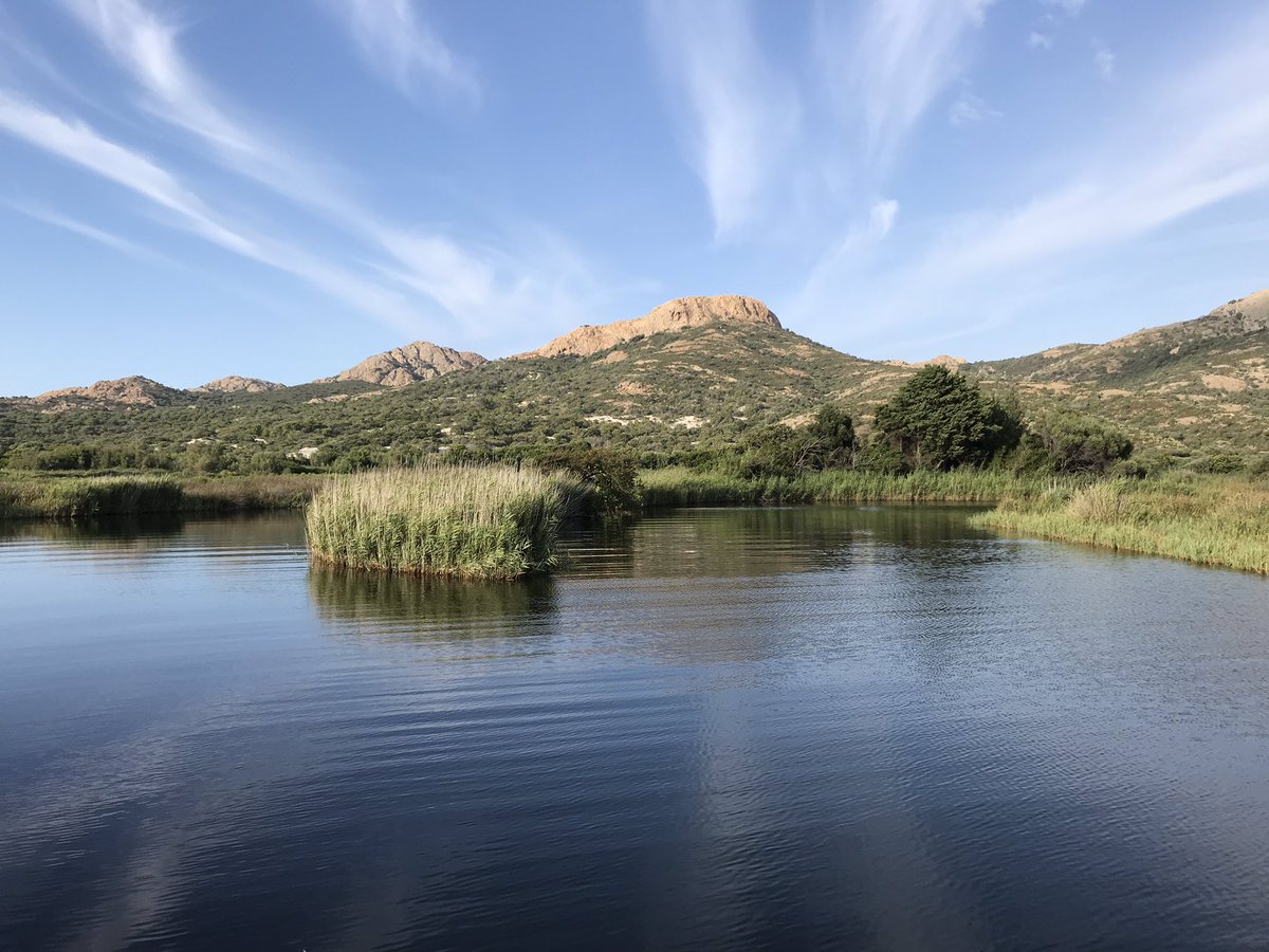 AleGalli_Med's tweet image. The future of the #Mediterranean?  #EcoTourism and #BlueEnergies as drivers of #sustainable #economic #development, where #FoodSustainability can be enabled by adhering to the Med #diet. This is what @MedEcotourism, @maestrale_MED and @MedfestProject work for. @MEDProgramme