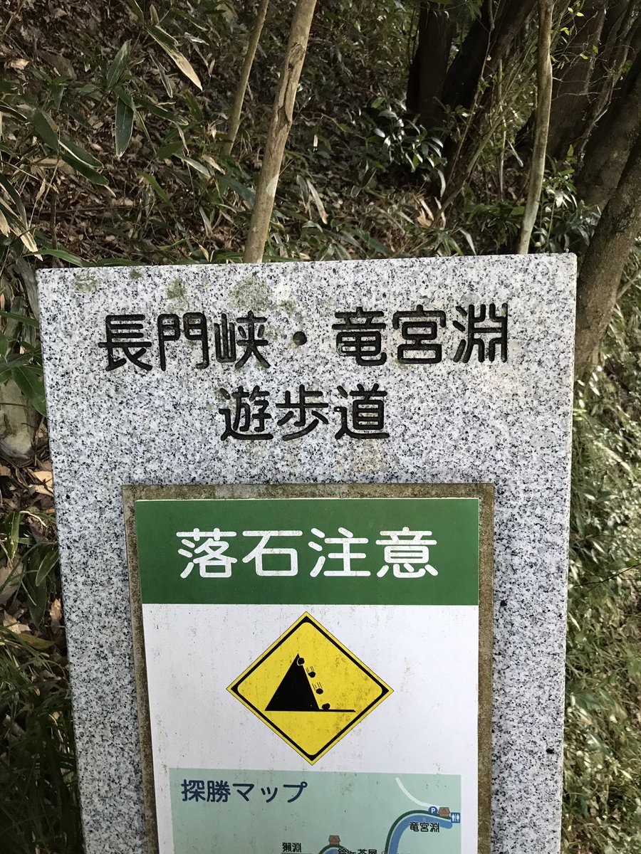 今日の運動

遊歩道という名に相応しくない険しい道を歩いた。

#ダイエット魚田 