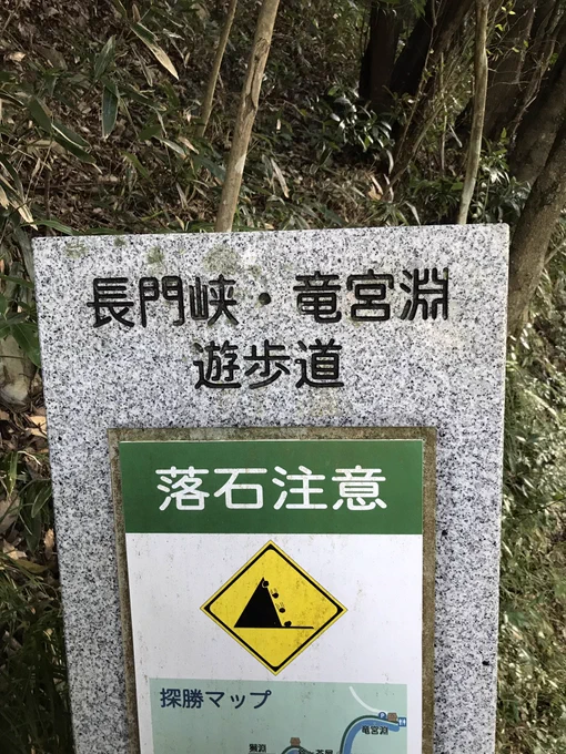 今日の運動

遊歩道という名に相応しくない険しい道を歩いた。

#ダイエット魚田 