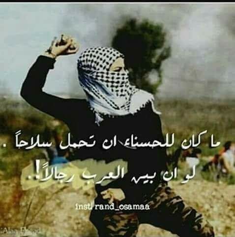 شيري الجميييييييله tweet media