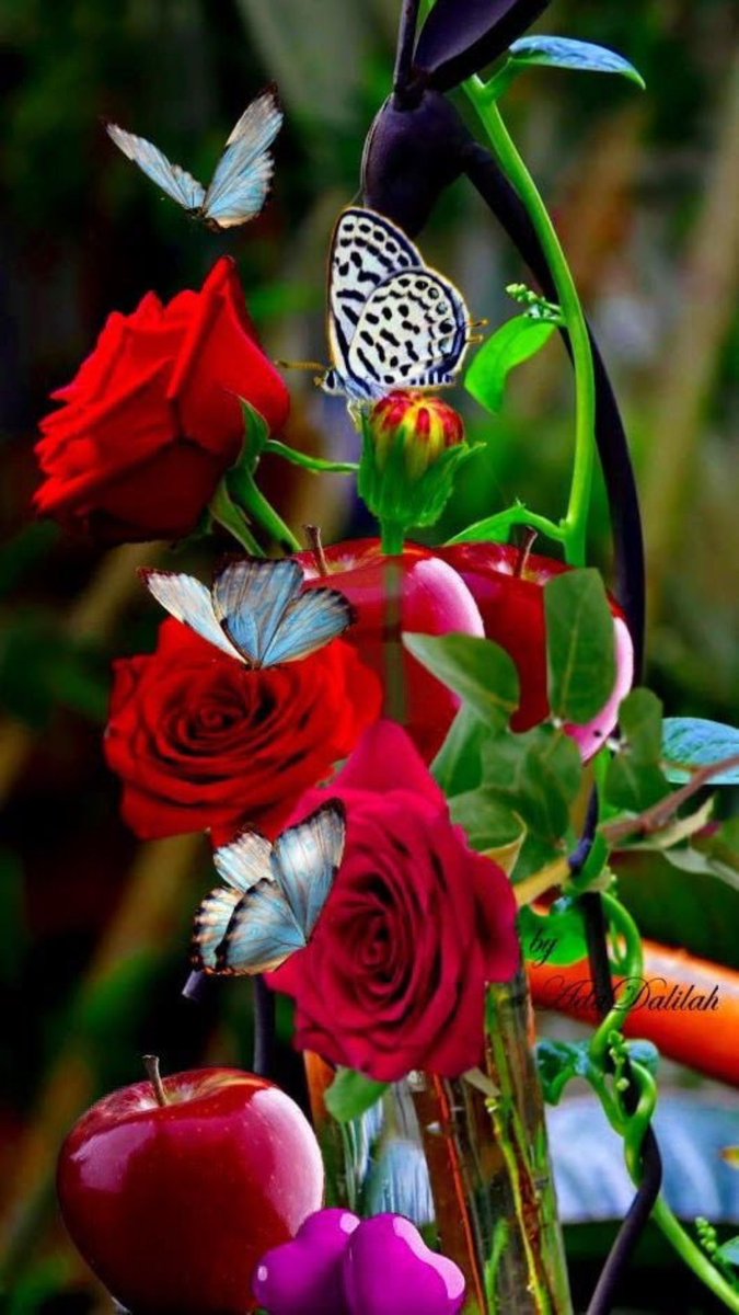 Hudaalkhfaji's tweet photo. #فرز_نشط 

تجميع@mz__aj

@1I1_1I
@hjHj__90 
@Kg5__
@ay11l 
@eter__8m 
@R007e_ 
@m_i0n9 
@k6255282 
@NOUFAlLinZy
@6urry
@TM_frz 
@x0x__I0
@5ee5s 
@aaa_12322 
@azoz_0053 
@khaldwlyd90
⁦@925l_⁩ 
⁦@ksa1224umee⁩ 
⁦@soma20137890⁩ https://t.co/sfL6wfdhHl