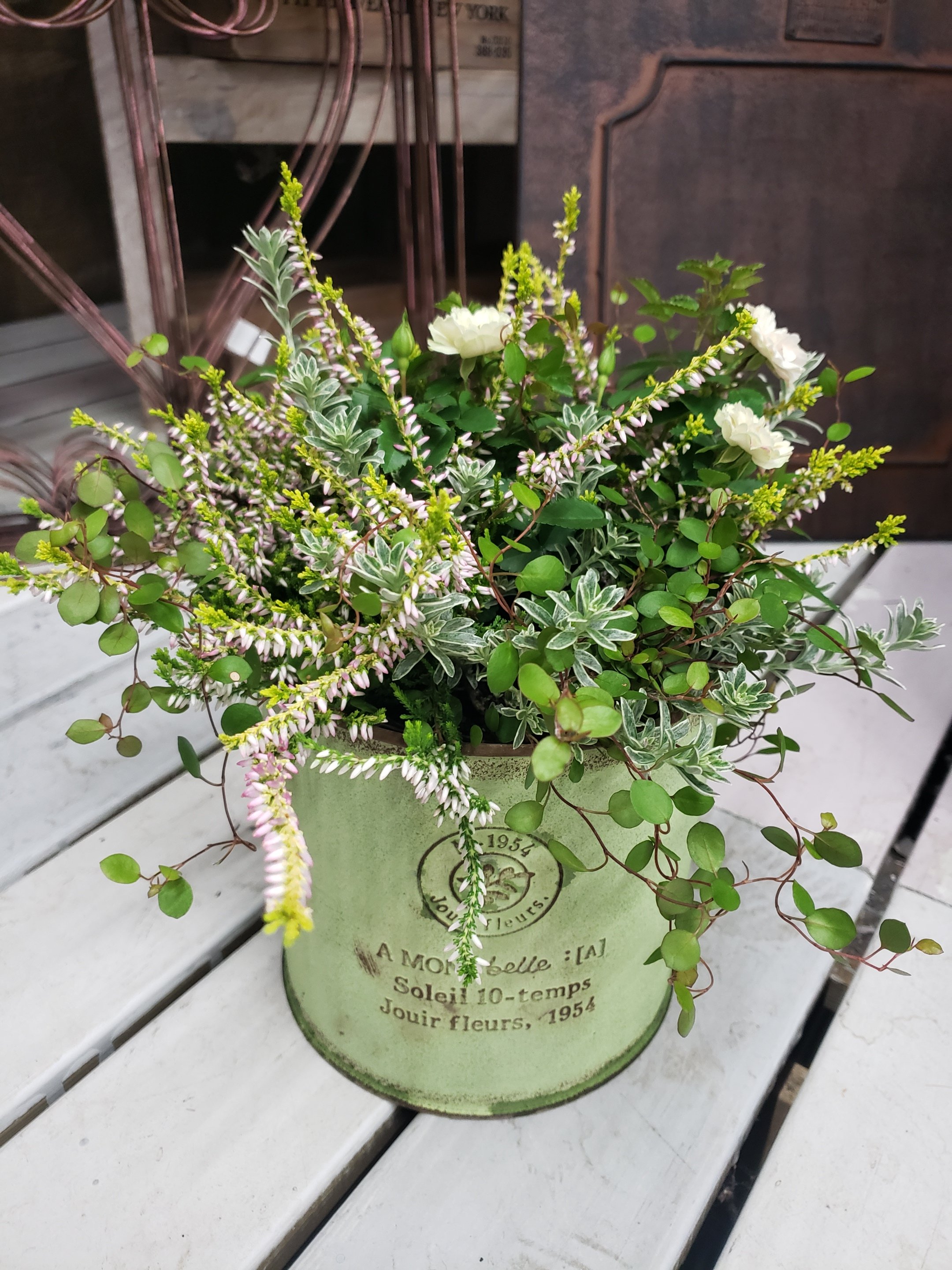 ジョイフル本田 ガーデンセンター ガーデンセンター守谷店 本日の寄せ植え カルーナをメインにリーフや小花を添えて 秋のお花が増えて来ました 寄せ植えや花壇の植替えが楽しみになりますよ ご来店お待ちしております 寄せ植え アレンジ
