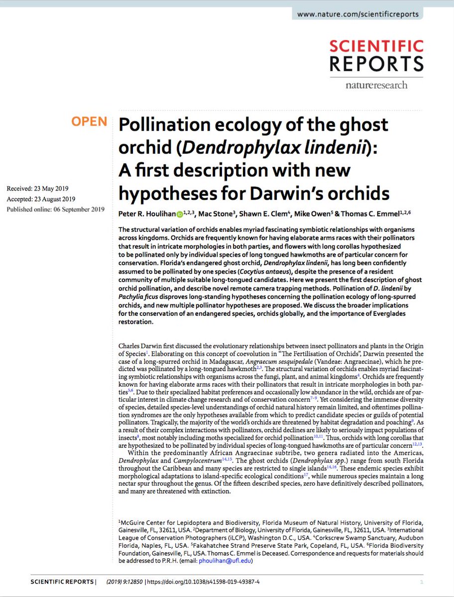 Peter Houlihan (@peter_houlihan) on Twitter photo Latest research published in Nature's <a href="/SciReports/">Scientific Reports</a>: "Pollination ecology of the ghost orchid (Dendrophylax lindenii): A first description with new hypotheses for Darwin’s orchids" nature.com/articles/s4159… @nresearchnews #Florida #ghostorchid Latest research published in Nature's <a href="/SciReports/">Scientific Reports</a>: "Pollination ecology of the ghost orchid (Dendrophylax lindenii): A first description with new hypotheses for Darwin’s orchids" nature.com/articles/s4159… @nresearchnews #Florida #ghostorchid
