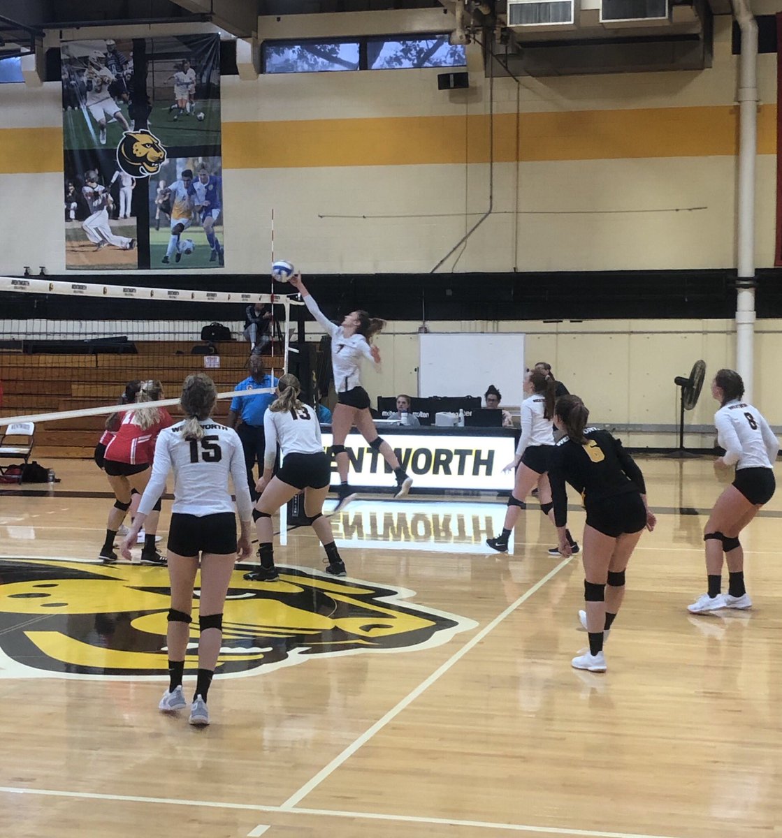 AnnamariaWenner's tweet photo. Women’s @WITVolleyball doubleheader in Tansey today! Come watch them take flight!
#rollleps #defendtheden @witathletics https://t.co/GMy60QdEoI