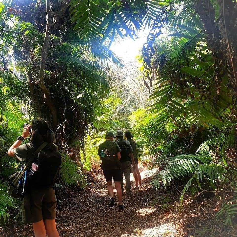 WildsideM's tweet image. Students exploring the Kosi Bay Raffia Palm Forest. Did you know that Raffia Palm trees are one of only six species of palm trees that are indigenous to South Africa? #marineadventures #isimangaliso #fgasa #palmnutvultures #raffiapalms 
📸 Bhejane nature training