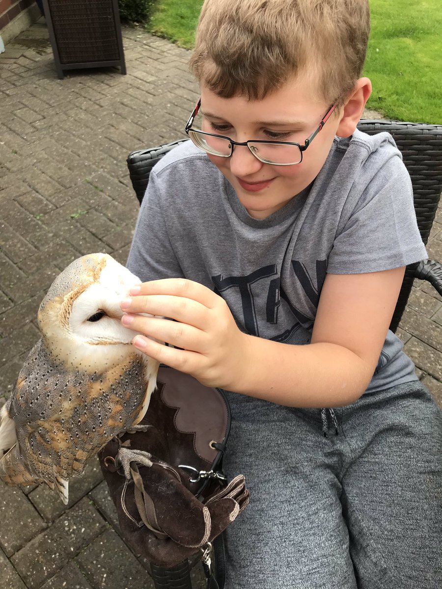 Animalassistedtherapy Hashtag On Twitter