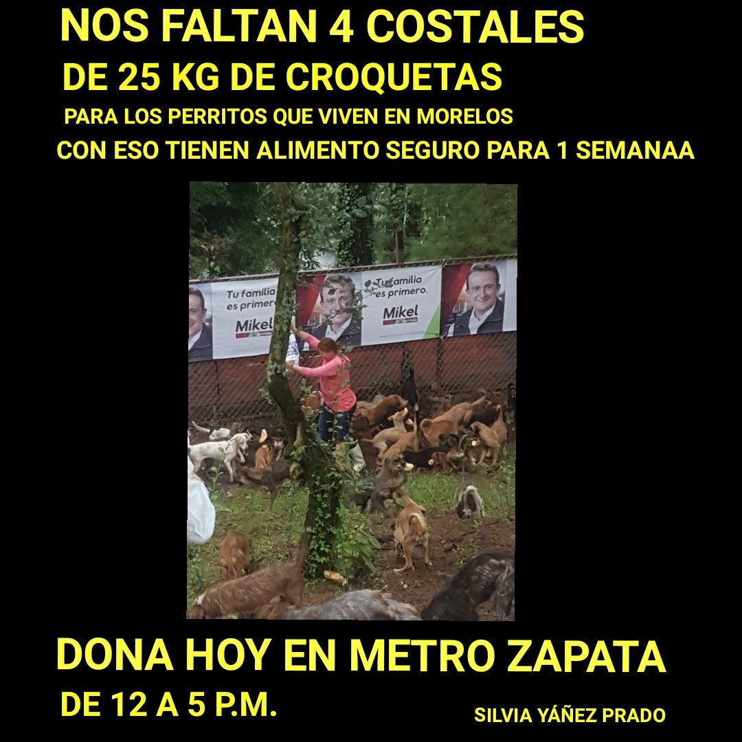 AYUDA DONANDO EN ESPECIE HOY METRO ZAPATA DE 12 A 5 P.M.
SILVIA YÁÑEZ PRADO