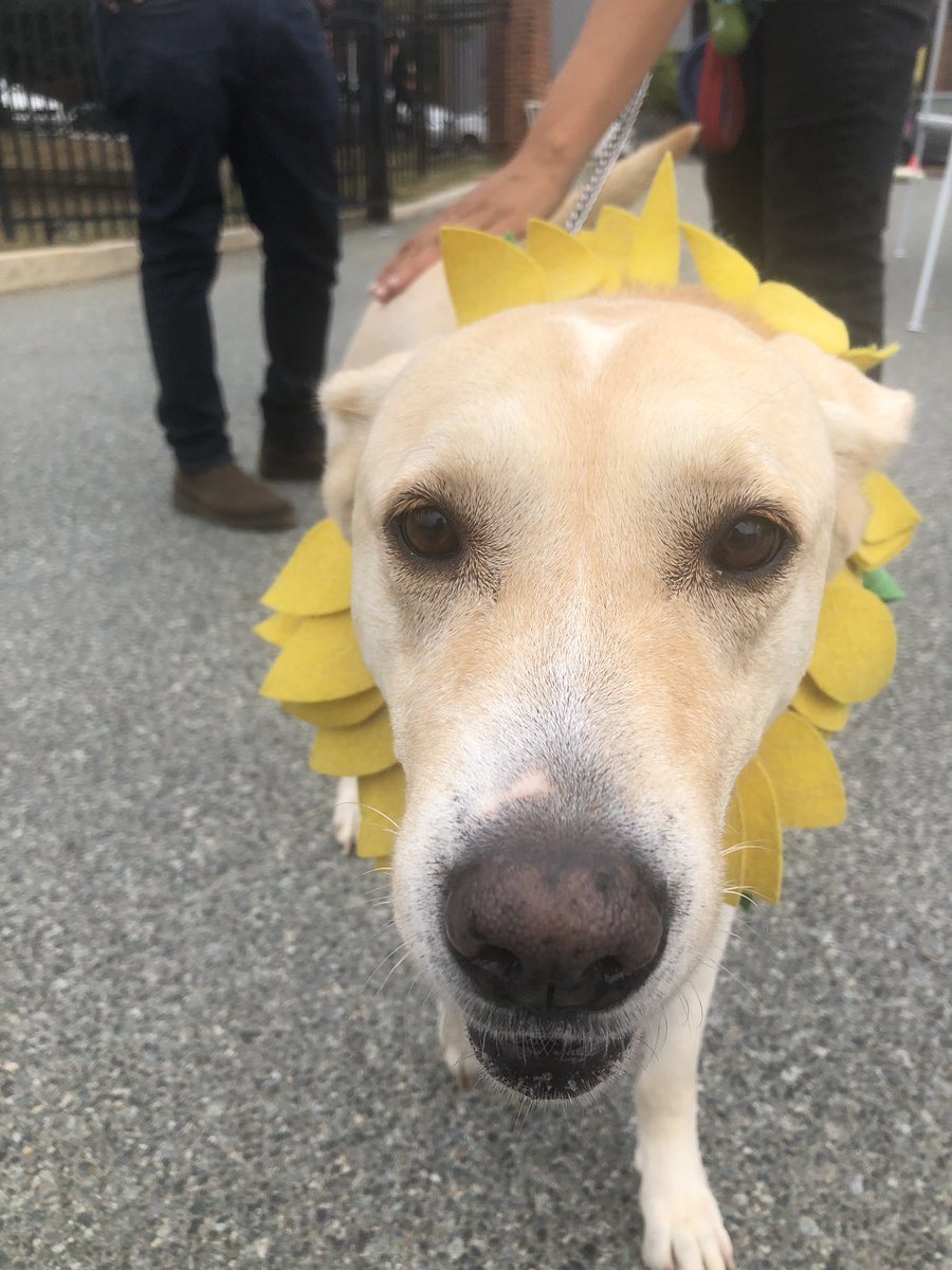 It’s always sunny in Glover Park!