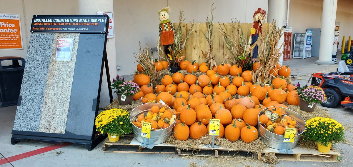 Pumpkins arrived yesterday and today, 804 is ready to sell sell sell 🎃🎃🎃 Excellent job garden team <a href="/misshd03/">Megan A. Coleman</a> @Steve1769FtO <a href="/KochBkoch/">Bobbie Koch</a> <a href="/frblackwell2/">frblackwell</a>