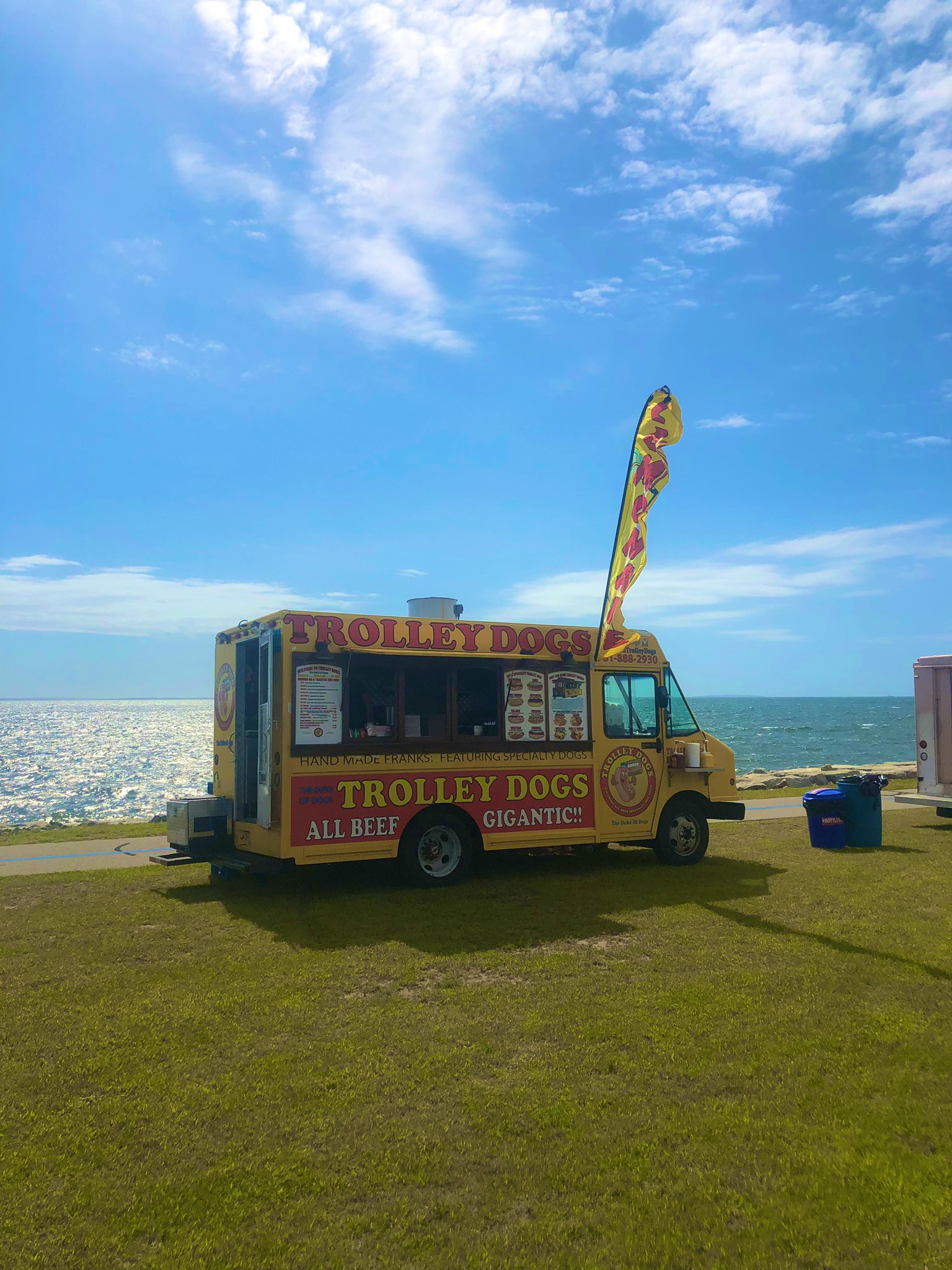 Trolley Dogs on Twitter enjoy the weather while you can