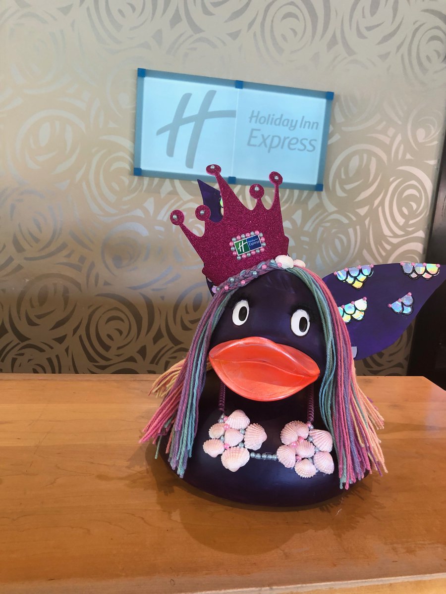 HIEXChester's tweet photo. #ihggivingforgood @IHGOwners_Assn 
Please vote for our duck, you would be quackers not to! Type in facebook "the countess charity" find our duck and like it! #ihg #ihggivingforgood https://t.co/Yh9vXm3jWw