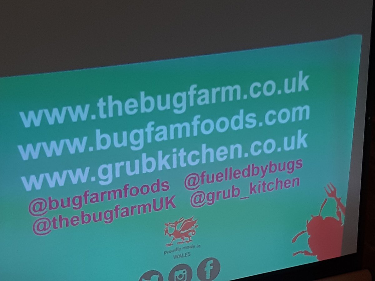 Kasia Howard tweet media