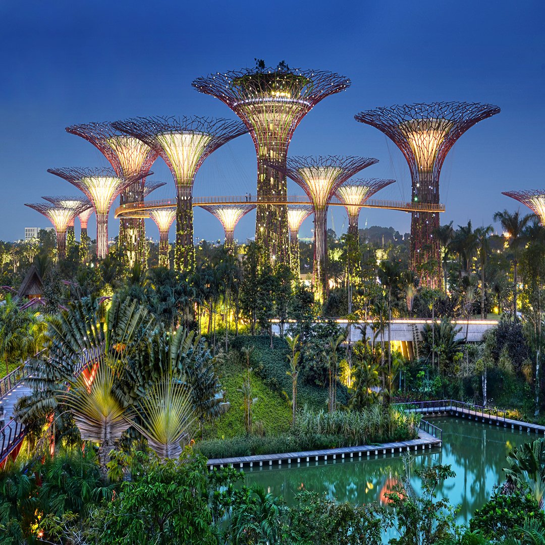The incredible Gardens by the bay,Singapore
#gardensbythebay #gardensbythebaysingapore #gardensofsingapore #singaporegardens #singapore