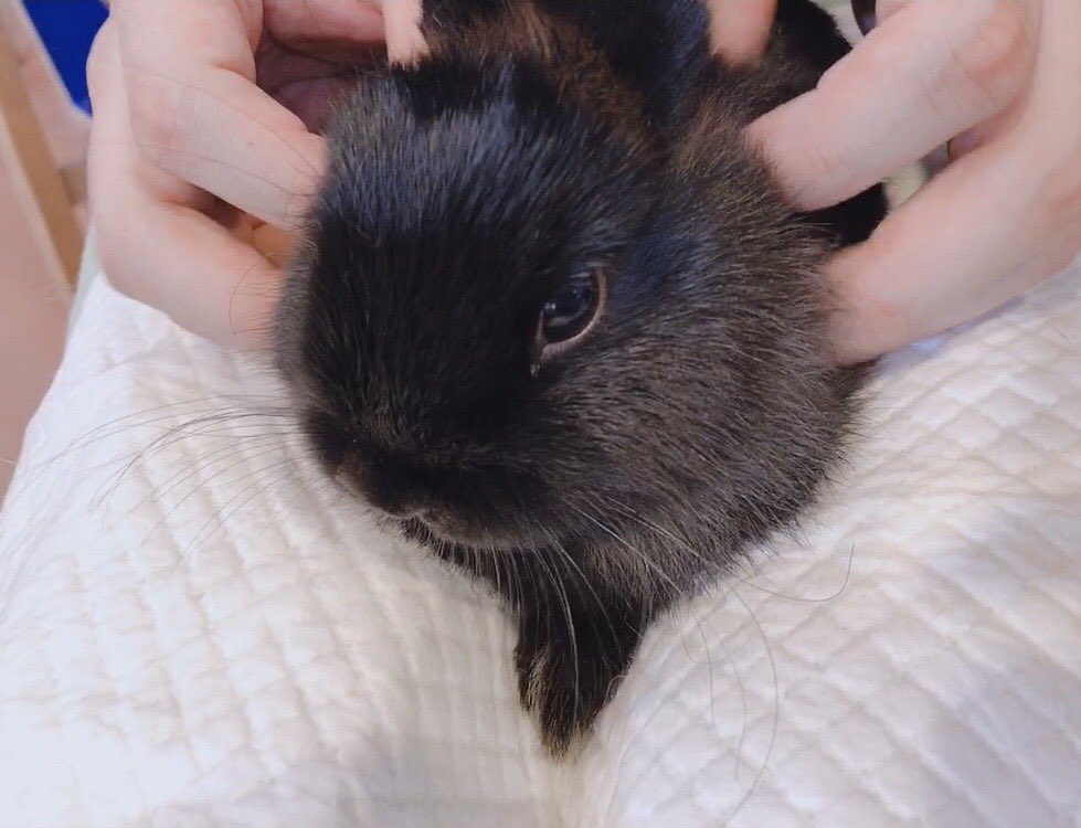 ゴミ🗑 tweet media