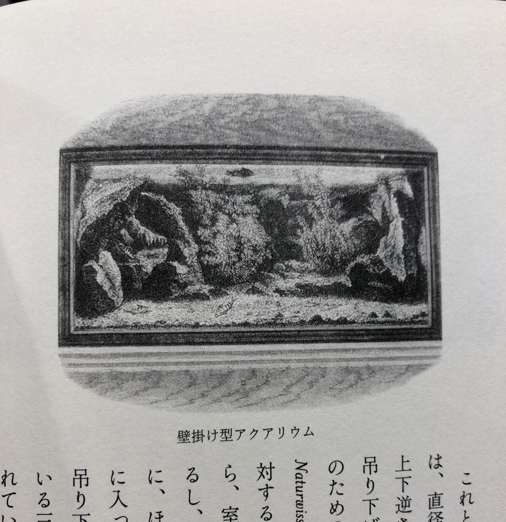 ぬまがさワタリ ゆかいないきもの超図鑑 ３ ８発売 水族館の歴史 イギリスのゴスが1850年代に書いたイラスト 本 アクアリウム がベストセラーとなり 自宅にアクアリウム 水槽 を作る最初のブームが起こる 海の生きものの魅力を伝える工夫が凝ら