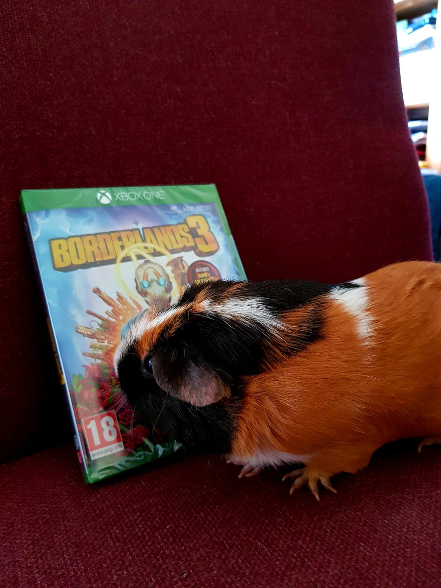 TeeJ_x's tweet photo. @BrotherBrown68 @Currierox #Borderlands3 #onit Frank approves this purchase 👍👌 https://t.co/udtuvLoPnX