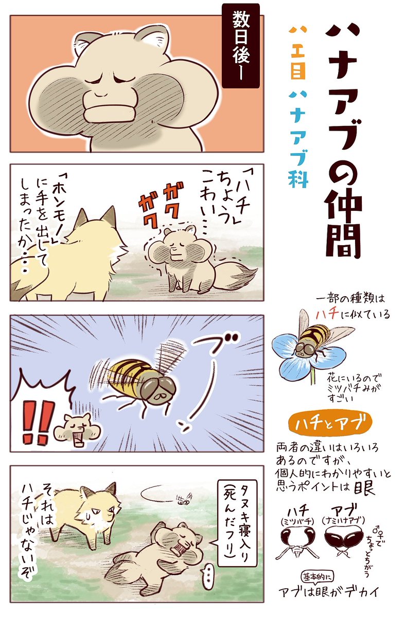 わいるどらいふっ！第151～153種
【さわるなキケン！】
昆虫に化かされるタヌキとキツネ 