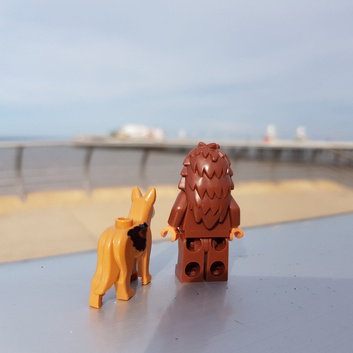 Bionic_Tweets's tweet photo. Max and Bigfoot on a day out in #blackpool
#bionic #thesixmilliondollarman #thebionicwoman #cyborg #jaimesommers #steveaustin #maxthebionicdog #bigfoot #leemajors #lindsaywagner #oscargoldman #rudywells #maskatron #lego #legophotography #legophoto #legofun #brickstagram https://t.co/D3Ss54Bv2y