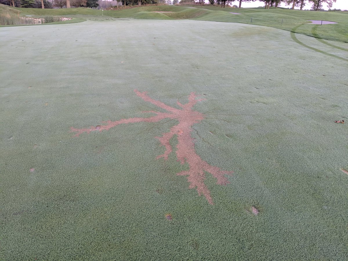 mrgarrettluck's tweet photo. @bbonlender79 Next time keep the lightning to yourself. Lol. https://t.co/zP69UkZv3z