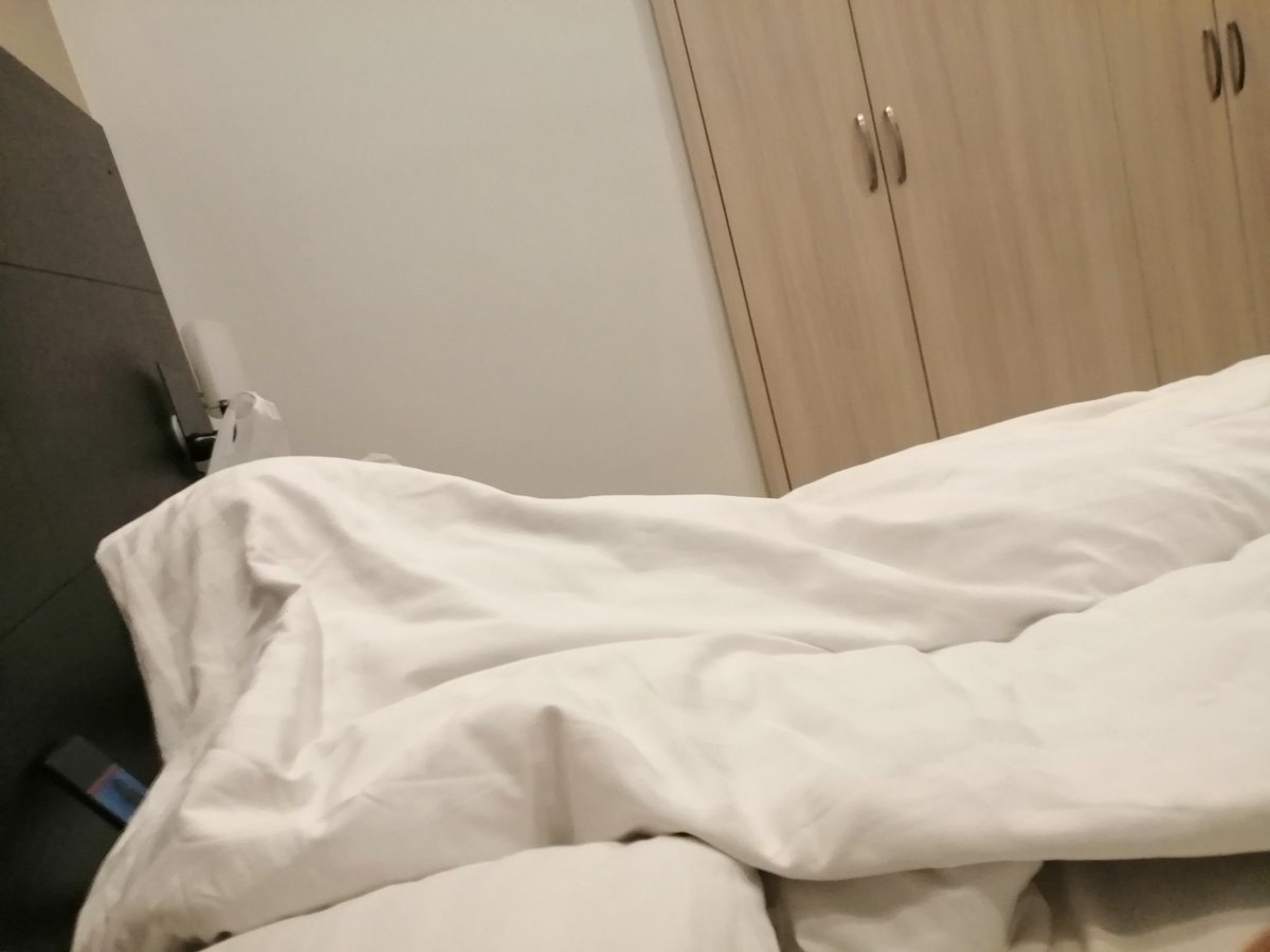 DDuyDev's tweet photo. She goes on holiday but stays under blanket all day long https://t.co/s2BN0Ucr6N