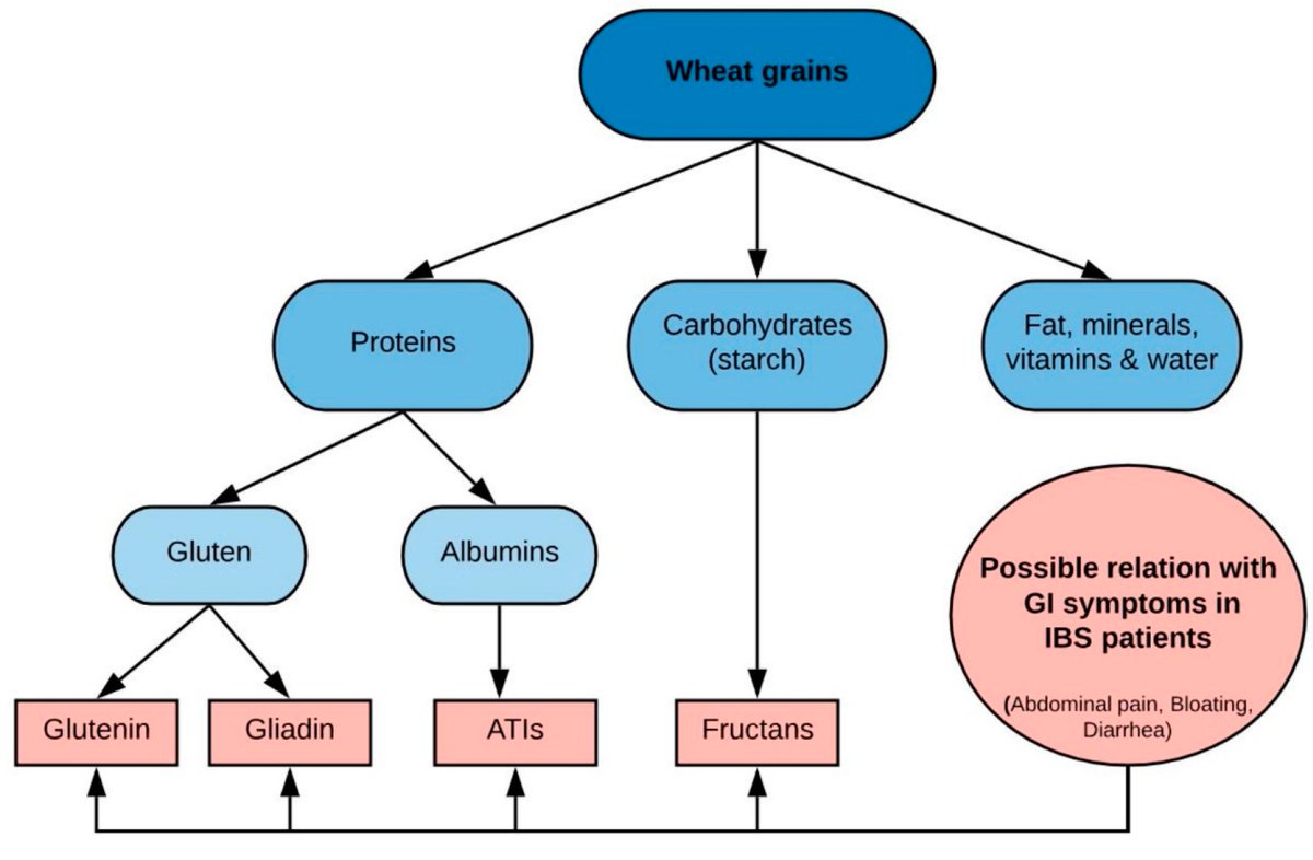 trott_nick's tweet photo. Interesting #OpenAccess narrative review by Prof Simrén on the dietary management of #IBS

➡️https://t.co/4ClIPXqcQx https://t.co/S3UZkjrEpc