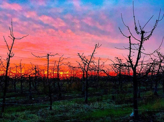 aguabuena_cl's tweet photo. #Repost @jveraroyo
• • • • •
Atardecer en Agua Buena 🌅
.
.
.
.
.
.
#AguaBuena #Colchagua #Chile #SanFernando #paisajesdechile #nature #chileestuyo #paisaje #viajeporchile #thisischile #ChileTravel #Chile_Bloggers #ChileCaptures #visitchile #BeautifulChile #Go_Chile #Exp… https://t.co/QsjWU6zoD2