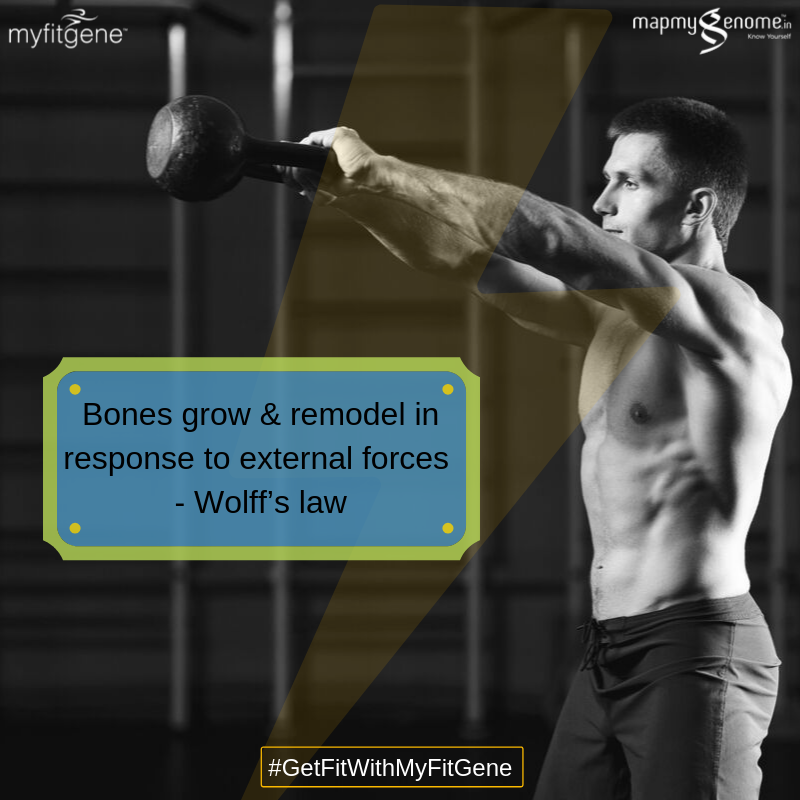 mapmygenome's tweet photo. Being predisposed to reduced bone mineral density can spell disaster. Engage in personalized weight/resistance training to increase bone mineral density. 

Get fit with MyFitGene : https://t.co/8WPLv04tu7

#GetFitWithMyFitGene #FitIndiaMovement #MyFitGene  #WeightLifting https://t.co/ZY1VbTJB95