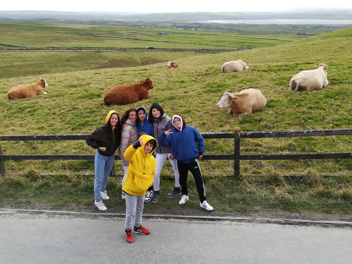 HerenciaMerced's tweet photo. Acantilados de Moher!! Amazing!!
#mercedariasherencia #ESO #mercedemociona
#mohercliffs https://t.co/bQg38uBlKH