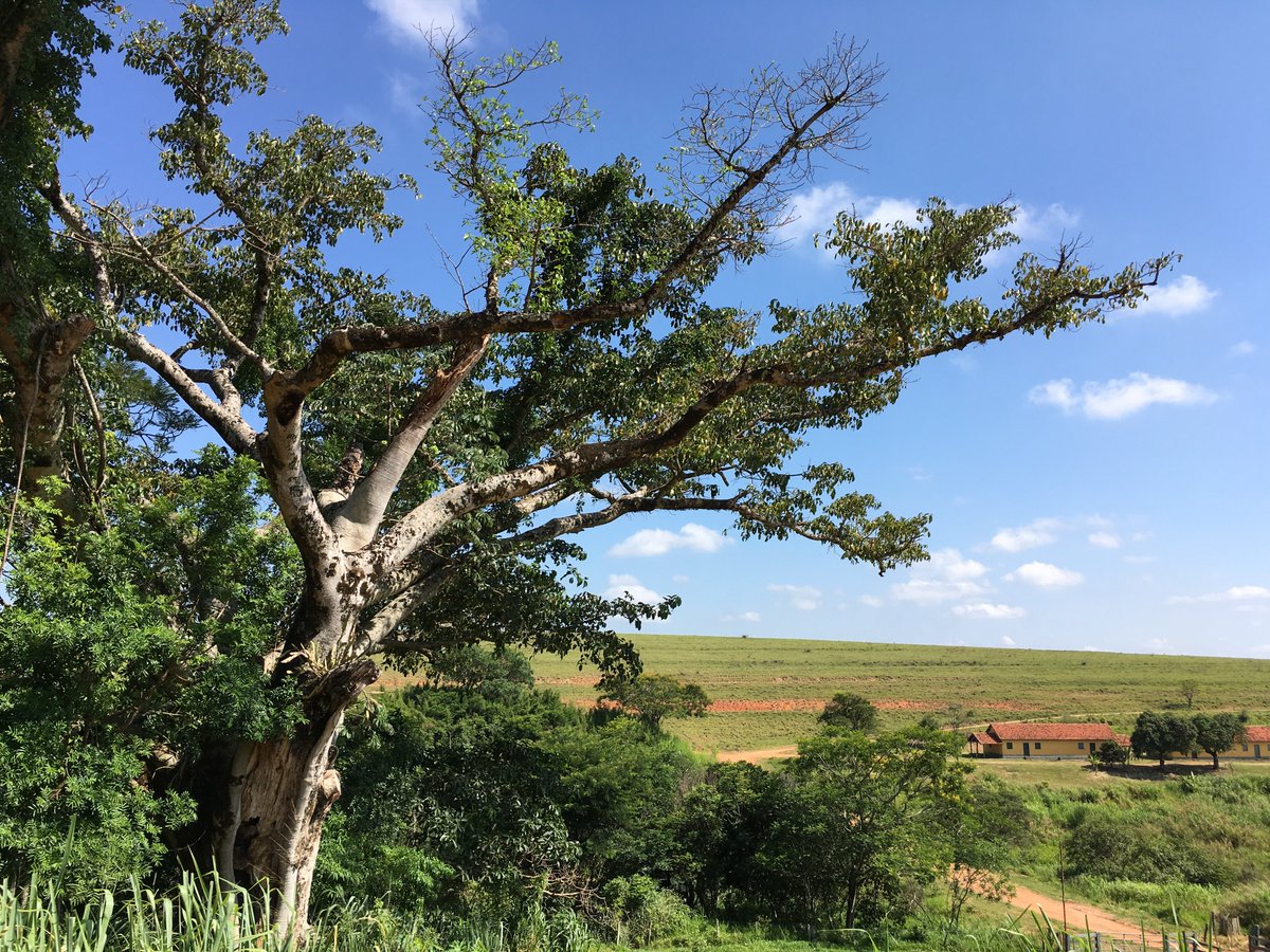 ecooar's tweet photo. Estar em contato com a natureza relaxa e recarrega nossas energias. Aproveite o seu final de semana!

#ecooar #relax #vida #natureza https://t.co/Nao1qApX4s