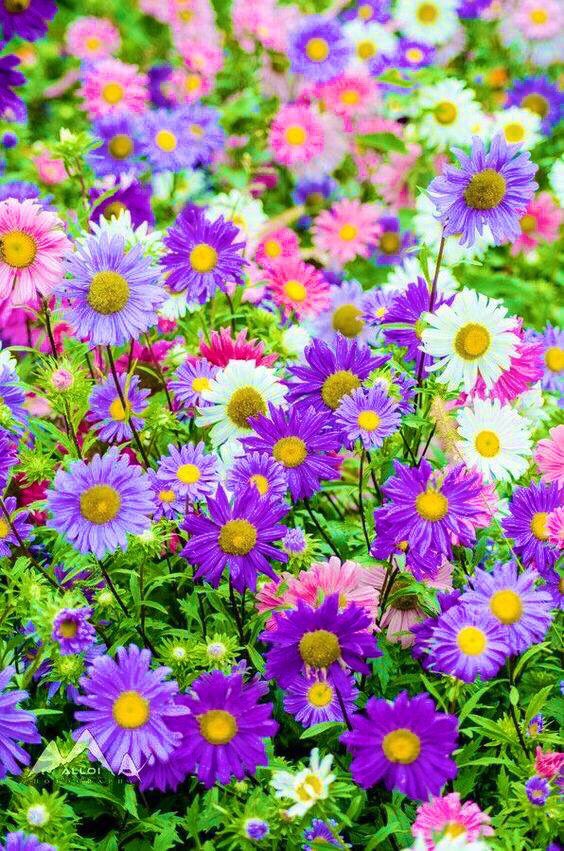 DixieBusiness4U's tweet photo. Follow Everyone Who Retweets This
#DixieBusiness4U #GainWithTrevor #FollowTrick #TeamFollowHelp #Empire1Drive #PitBullEmpire #1DDrive #Khan #TeamStallion #WorldWideFollowHelp https://t.co/xbgwMmPWRR