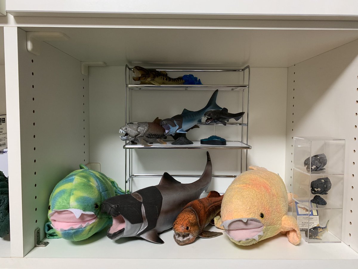 Cｕスタ平 ニトリの調味料ラックは我が家のダンクルオステウス棚となりました